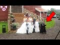 Creepy Wedding Photos That Can’t Be Explained