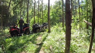видео: НА КВАДРОЦИКЛАХ ПО ЛЕСУ- МНОГО ВОДЫ🌳 чистим лес картинка: НА КВАДРОЦИКЛАХ ПО ЛЕСУ- МНОГО ВОДЫ🌳 чистим лес