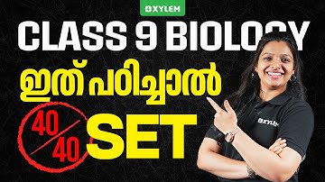 Class 9 Christmas Exam : Biology | ഇത് പഠിച്ചാൽ 40/40 | Xylem Class 9