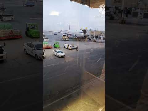 Riyadh to Lucknow