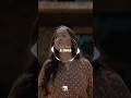 Faltam 2 dias para o novo clipe de Ruthe Dayanne "O Céu Se Abre Com Adoração"