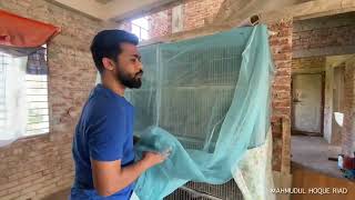 ২০০ টাকার মশারি দিয়ে হাজার টাকার কবুতরের খরচ বাচান। ফেন্সি কবুতরের লফট।