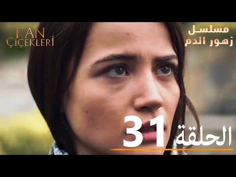 الحلقة 31 مسلسل زهور الدم مدبلج بالعربية Kan Çiçekleri