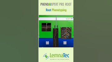 PhenoAIxpert Pro Root for Root and Shoot Phenotyping