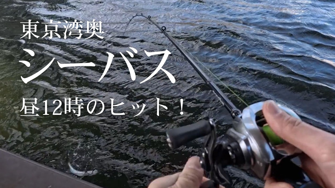 【シーバス】爆風の東京湾奥デイゲーム　Tokyo Bay Seabass Day Game in Crazy Wind