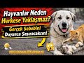 HAYVANLAR NEDEN HERKESE YANAŞMAZ? SADECE BAZI İNSANLARI SEÇMELERİNİN SEBEBİ 🐶 🐱