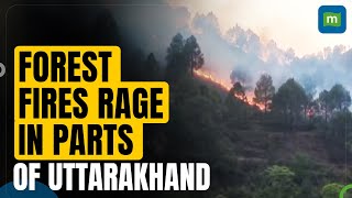 New fire incidents affected over 800 hectares of forest land in Uttarakhand
