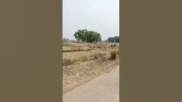 Burdwan Trip l Gushkara l Bhedia l