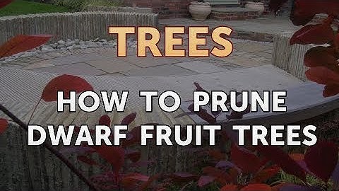 How to Prune Dwarf Fruit Trees