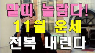 명리학으로 본 말띠의 24년 갑진년 11월 천복 운세(42년, 54년, 66년, 78년, 90년, 02년생)…