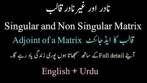 Singular and Non Singular Matrix & Adjoint of Matrix || 9th Class || By Saqab