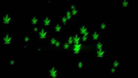 Intro Dorga Sem Nome Template Com Tipografia