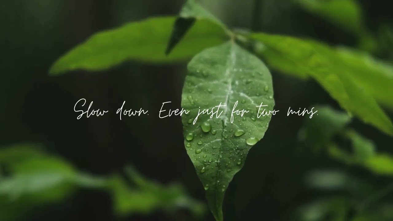 Quick Morning Reset | 2-Minute Guided Meditation