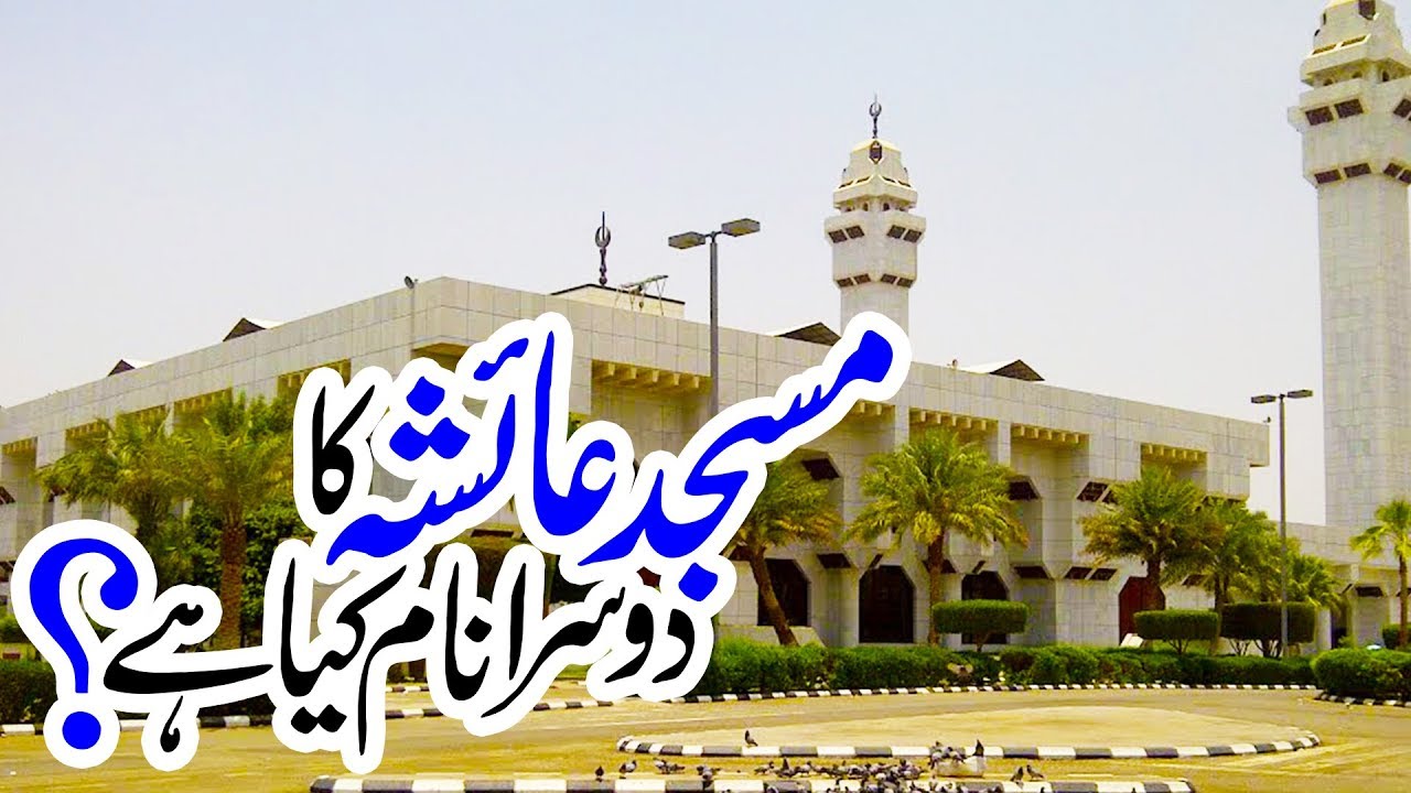 Saudi Arabia Google Search