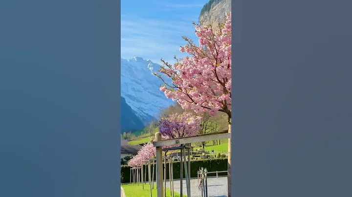 Most beautiful villages in Switzerland 😻 #switzerland #lauterbrunnen #nature #waterfall #travel - DayDayNews