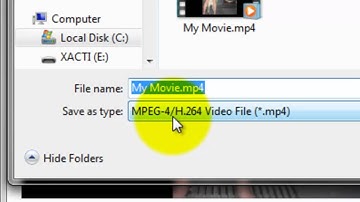 Windows Live Movie Maker - Publish/Export Movies