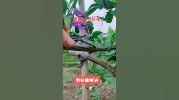 # Hướng dẫn thủ công mỹ nghệ # hướng dẫn nâng cao # công nghệ quản lý