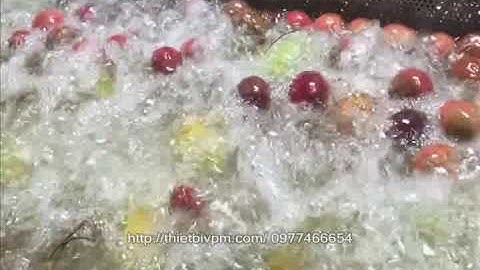 Cụm máy rửa con lăn bàn chải ngang, máy rửa củ quả