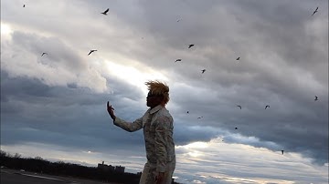 Thaiboy Digital — I