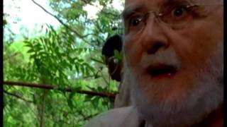 Zagubleniy Svit 34S Na Zvuk