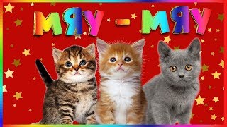 ВЫПУСК №3 - ЦИРКОВЫЕ КОШКИ. ДРЕССУРА КОТЯТ. ВЫПУСК №3 - ЦИРКОВЫЕ КОШКИ. ДРЕССУРА КОТЯТ.