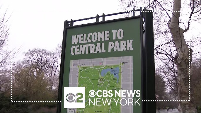 Nypd Investigating Recent Attacks Robberies In Central Park