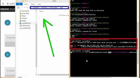 Error npm install cordova - from CLI
