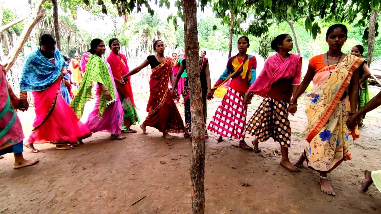 जीरा पुला सगा ना।। Gond Tribe Marrige Dance।। Moksa Gondi Dance।। My Village Marriage Dance