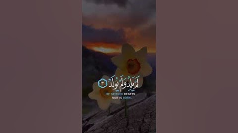سورة الإخلاص | تعادل ثلث القرآن
