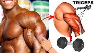 كمال الأجسام تمارين ترايسبس المنزلية أو في نادي [بدمبل فقط] ?Triceps home gym dumbbell?