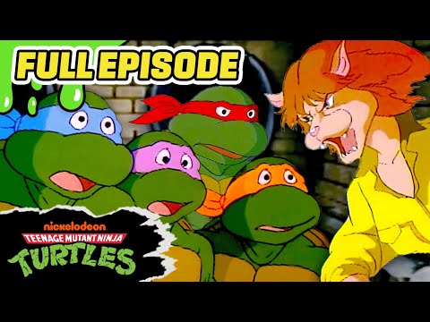TMNT (1987) FULL EPISODE: "The Catwoman from Channel Six" | Teenage Mutant Ninja Turtles