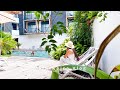 Vacances à l'île de la Réunion 🇷🇪 🌴ㅣKayak, musée du Sel, Jardin de l'État, Parc de la Trinité ⎜Vlog