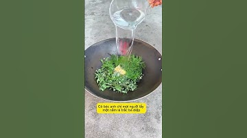 Bài thuốc trị tóc bạc, tóc rụng Chị em lưu lại nha #baithuochay #thuốcnam