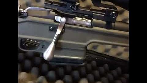 Mosin Nagant modified