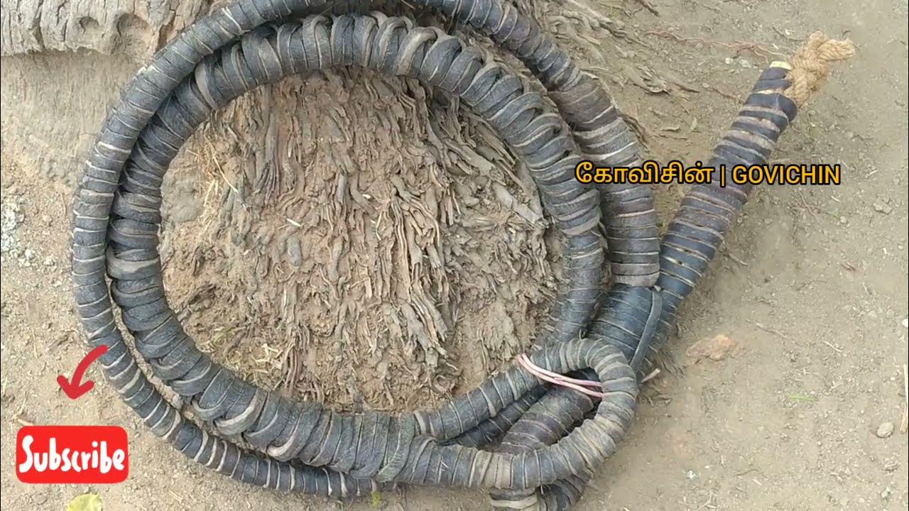 பனைமரம்,தென்னைமரம் ஏறும் இடைகயிறு முடிவது எப்படி? How to make climbing rope at palm and coconut
