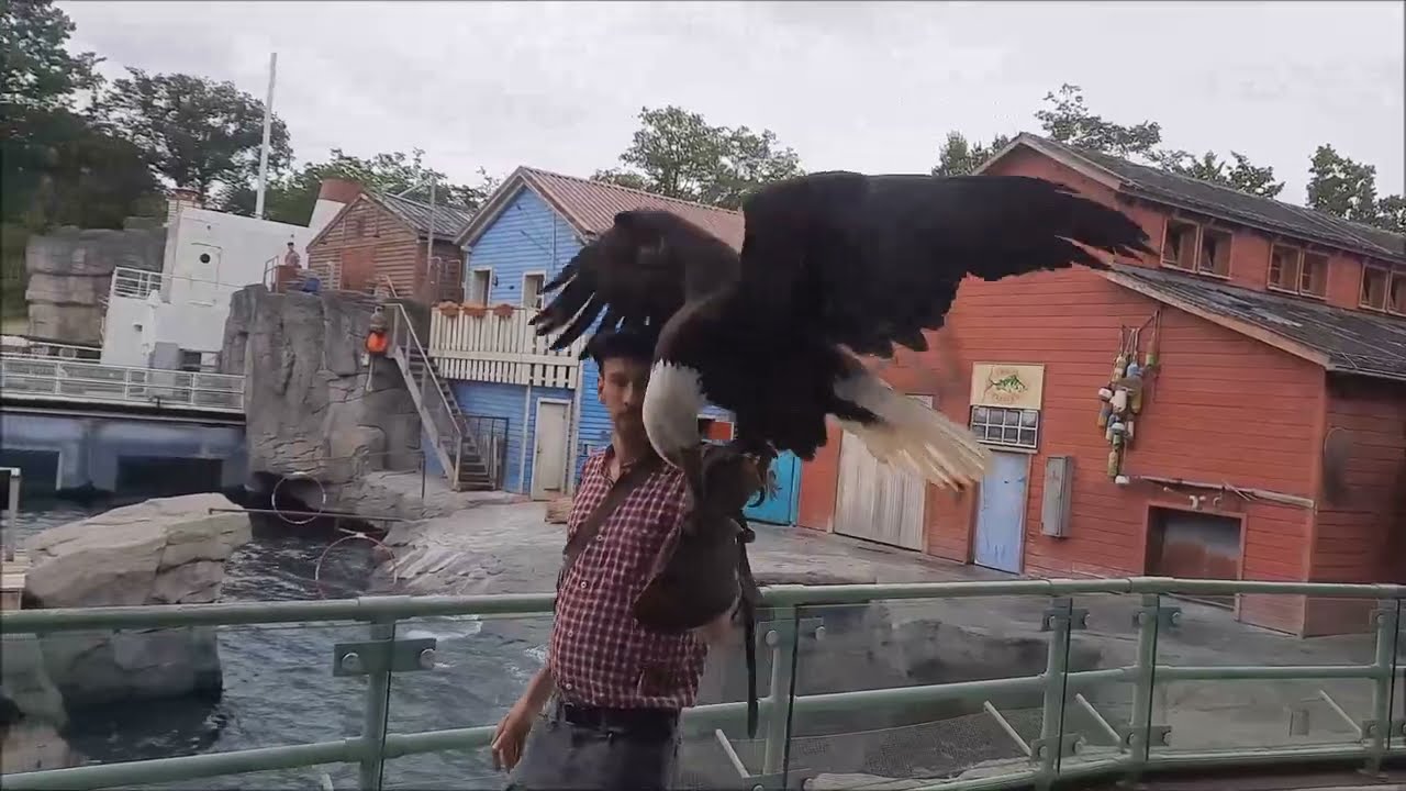 Erlebnis -Zoo Hannover eine schöne Tiervorstellung