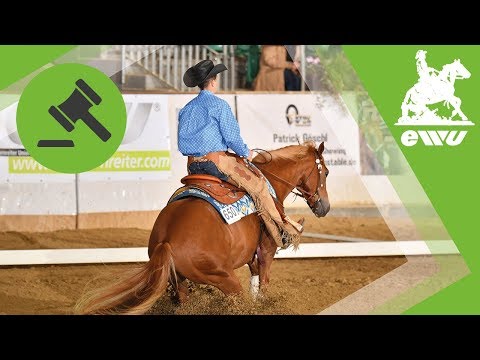 Jungpferde Reining 4 jährig | Richter erklären wie es geht | EWU German Open 2017