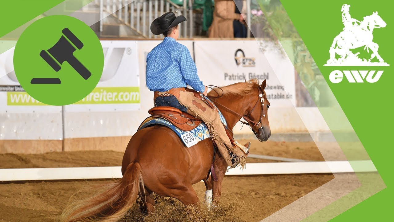 Jungpferde Reining 4 jährig | Richter erklären wie es geht | EWU German Open 2017