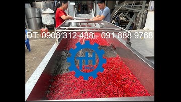 MÁY RỬA ỚT CÔNG NGHIỆP. DÂY CHUYỀN MÁY RỬA CỦ QUẢ NÔNG SẢN SỤC OZONE