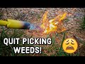 🔥 Burn Weeds Instead of Picking Them! | Kill Weeds Fast 🍀 | Red Dragon Torch