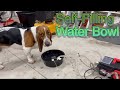 DIY Self-Filling Water Bowl for Pets