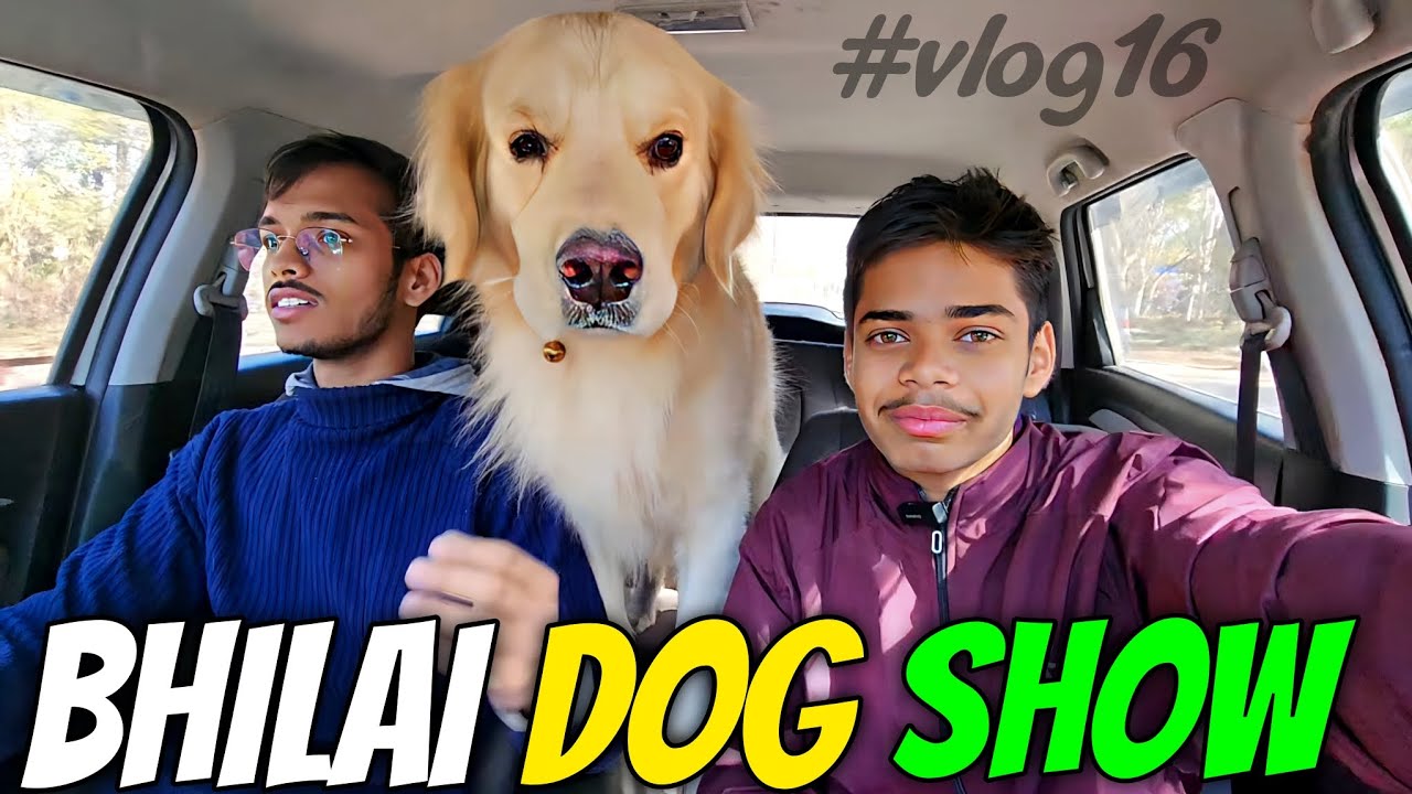 🤫हमने लूटा खूब सारा Pedigree |🔥Dog Show At Bhilai 2023 | BSP Sector 7 Ground