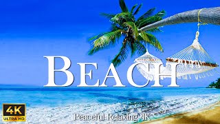 Tropical Beach 4K Relaxation Film - Relaxing Piano Music - Natural Landscape