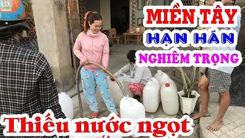 Hạn Mặn Khóc Liệt Lịch Sử - Các Con Sông Ở Gò Công Cạn Khô Nước✅ Minh Tồ Haribuu