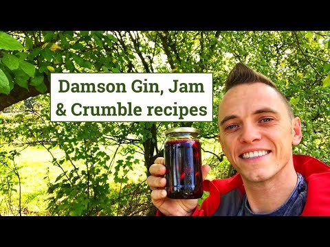 how-to-make-damson-jam,-damson-gin-&-crumble-the-fast-way!