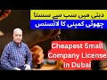 Make a cheapest small company license in dubai hurry up contact me for more details