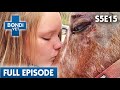 Rescue Horse's Deadly Tumour 🐴 | Bondi Vet Season 5 Ep 15 | Bondi Vet Full Episodes | Bondi Vet