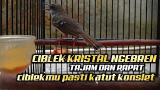 Ciblek Kristal Gacor Full Bren AK47