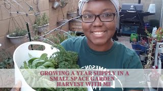 Growing A Year Supply In A Small Space Garden - Harvest With Me 