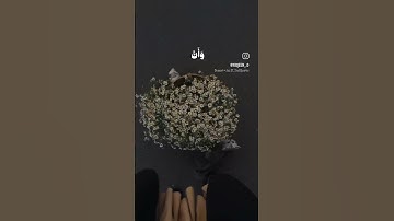 سورة النجم الايه (٣٩)... اكتب شي تؤجر عليه.     #قرآن #القرآن_الكريم #ياسر_الدوسري #سورة_النجم